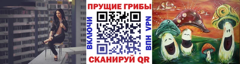 блэк спрут   Переславль-Залесский  Галлюциногенные грибы Psilocybe 